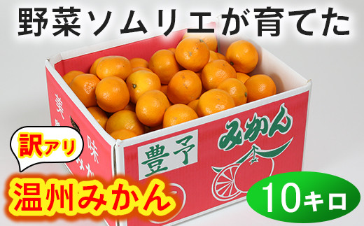 【訳あり・規格外品】野菜ソムリエ石児さんの「温州みかん 約10kg」 みかん 10kg 柑橘類 訳あり 先行予約 11月 12月 1月 甘い  温州みかん フルーツ ＜103-005_5＞