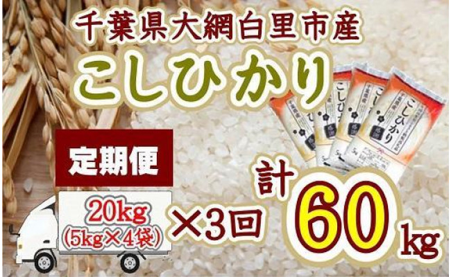 定期便 全3回] 20kg 令和4年産 コシヒカリ(5kg×4袋) 千葉県大網白里市産 - 千葉県大網白里市｜ふるさとチョイス - ふるさと納税サイト