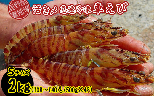 直送】活き〆急速冷凍車えび Sサイズ 2kg（108～140尾/500g×4P