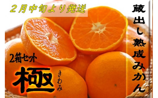 サンプル写真