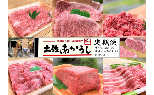 【高知県土佐町】tthn7幻の和牛!土佐あかうし定期便(6ヶ月コース)