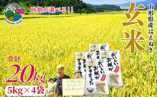 yR`͍]sz3{ 20kg(5kg×4) u͂ʂv2023NY R`Y@020-C01-03