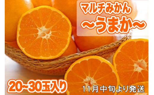 サンプル写真