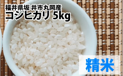 【令和6年産・新米】 福井県坂井市丸岡町産 コシヒカリ 計5kg（精米） [A-11307_03] - 福井県坂井市｜ふるさとチョイス -  ふるさと納税サイト