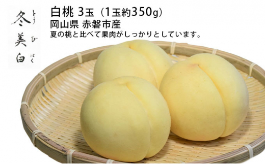 桃 2026年 先行予約 白桃 冬美白 とうびはく 3玉 1玉約350g もも モモ