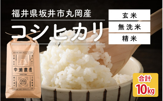 ふるさと納税 【先行予約】【令和5年度産・新米】【低農薬】極上米10kg