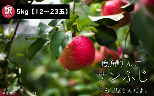 訳あり】秋田県鹿角産りんご「昂林」家庭用 5kg（14〜23玉入）【りんご