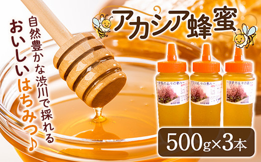 蜂蜜（アカシア）500g×3本セット はちみつ ハチミツ ハニー あかしあ