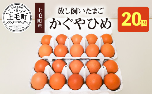 ふるさと納税 【定期便】放し飼いたまご『かぐやひめ』20個 6回（毎月