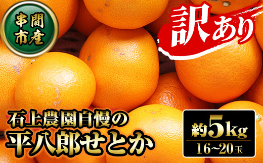 KU430 【先行予約】数量限定！串間市都井「石上農園」わけあり せとか