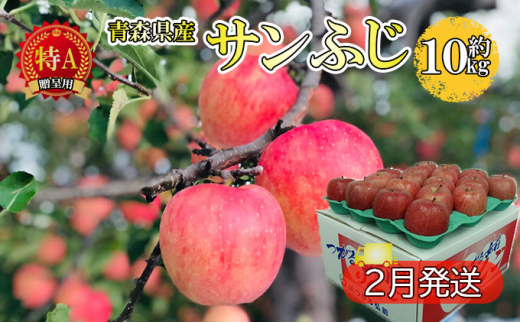 yXډzTӂ10kg pyAzi2jXY