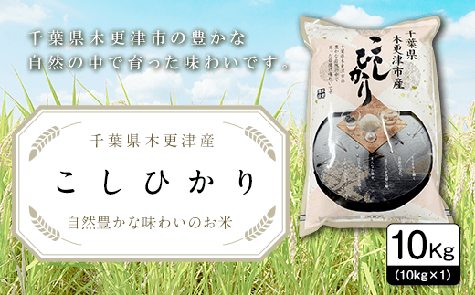 令和6年産新米】千葉県木更津産こしひかり10kg（10kg×1） KW001 ふるさと納税 米 10kg コシヒカリ 精米 白米 ごはん おにぎり  お茶漬け 主食 炭水化物 千葉県 木更津市 送料無料 - 千葉県木更津市｜ふるさとチョイス - ふるさと納税サイト