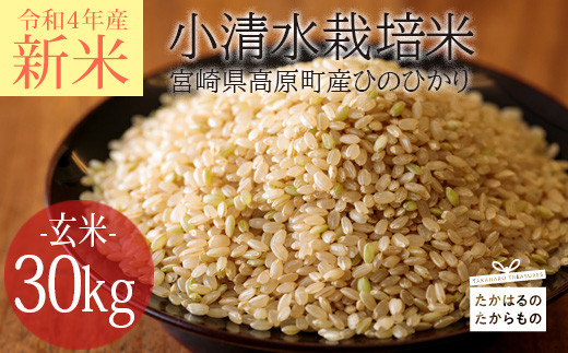 令和4年産新米 高原町産小清水栽培米 ひのひかり玄米 30kg