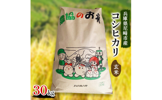 令和4年産兵庫県尼崎市産コシヒカリ玄米30kg【1272554】