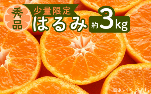 令和5年3月15日までの申込限定【少量限定】はるみ 約3kg 【秀品】 K075