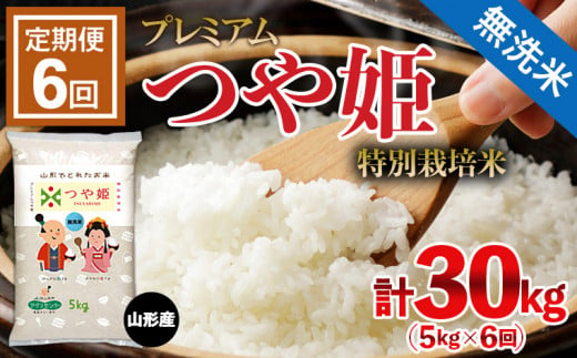 定期便6回】[令和5年産] [無洗米]プレミアムつや姫(特別栽培米) 5kg×6ヶ月(計30kg) FZ22-411 ブランド米 山形県 山形市 -  山形県山形市｜ふるさとチョイス - ふるさと納税サイト