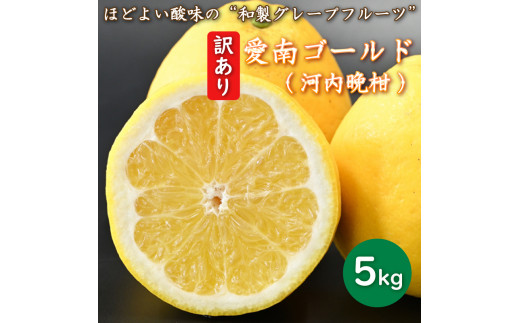 先行予約 訳あり 減農薬 河内晩柑 5kg 愛南フルーツ サイズミックス サイズ混合 不揃い 柑橘 蜜柑 愛南ゴールド 和製 グレープフルーツ 産地  産直 発送期間: 2024年4月20日～5月20日 (なくなり次第終了)