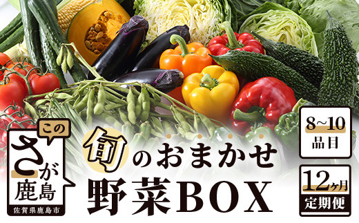 【定期便12ヶ月】《2025年1月1日～寄附額変更》旬のおまかせ野菜BOX 定期便 詰め合わせ 【8～10品目】 野菜 果物 旬 定番 セット  詰め合わせ じゃがいも 人参 大根 白菜 小松菜 レンコン サトイモ キャベツ ほうれん草 リーフサニー 水菜 きのこ レタス ...