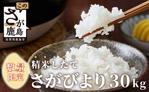 E-73【数量限定】令和５年産 佐賀県鹿島市産 さがびより 白米30kg お米