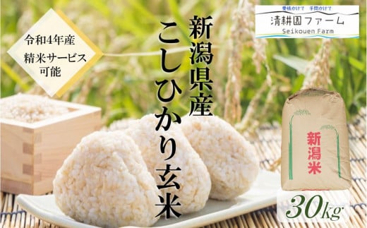令和5年産新米 新潟県産コシヒカリ 20㎏ 玄米(精米可) | localcontent