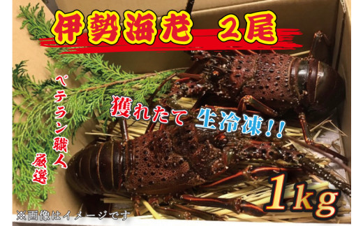 伊勢海老 1kgの人気商品 通販 価格比較 価格 Com