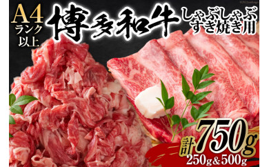 y}sz󂠂 a A4ȏ Ԃ Ă XCX 250g & ؂藎Ƃ 500g v750gyʂ܂z/ MEAT PLUS /  }s [21760211]  a јa Ⓚ