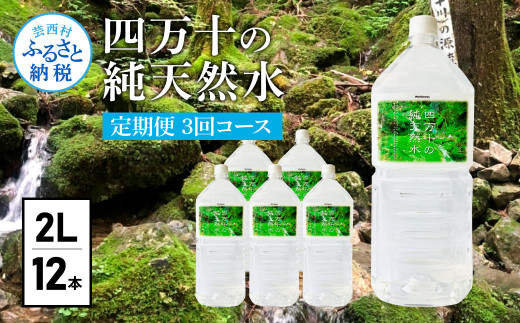 サンプル写真