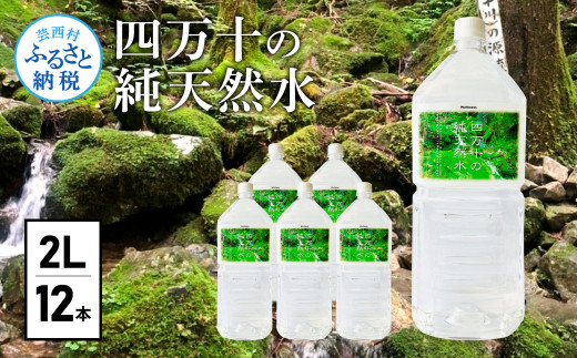 サンプル写真