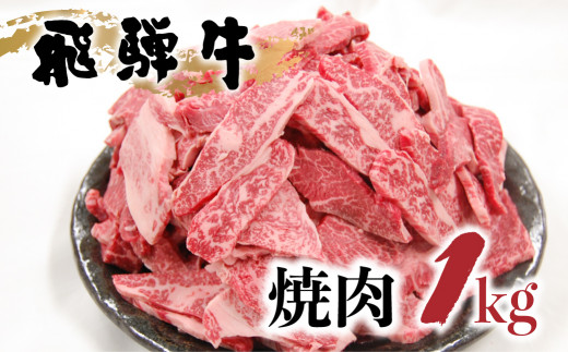 【発送月が選べる】【 訳あり 】飛騨牛 焼肉用 切り落とし 肉 1