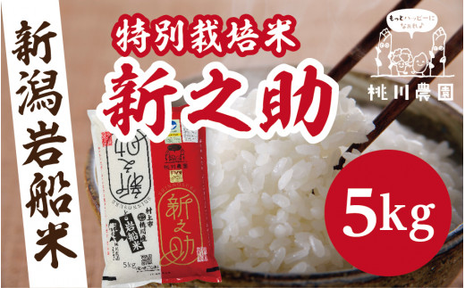 収穫翌日発送】令和３年産新米 新潟県産コシヒカリ 20㎏ 玄米(精米可