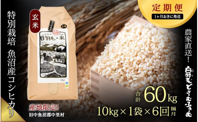 在庫あ得価専用ページ　コシヒカリ玄米　６０kg 検査証明　3等 米/穀物