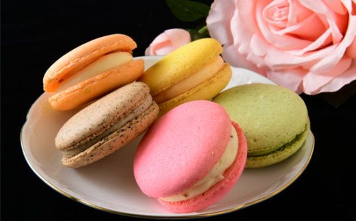yޗǌ䏊sziⓀjpatisserie petit ami ̃}J5 ^ XC[c َq 傫߃TCY ޗǌ 䏊s