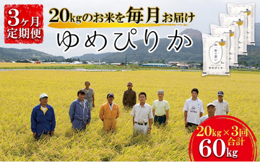 新豆】令和3年産 北海道壮瞥町産大豆20kg - 野菜