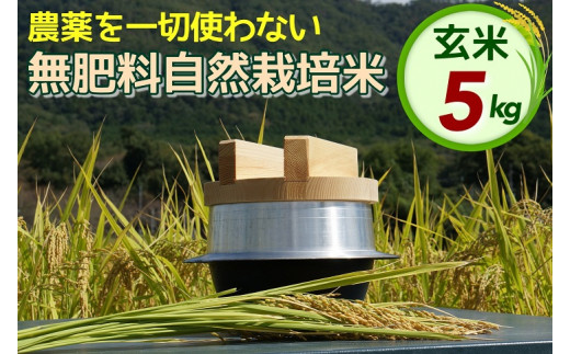 自然栽培 6(米 令和6年産【胚芽を残した精米】自然栽培米 に 自然栽培 6(米 令和6年産【胚芽を残した精米】自然栽培米 に