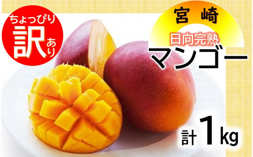 宮崎産 完熟マンゴー 規格外4.1kg-