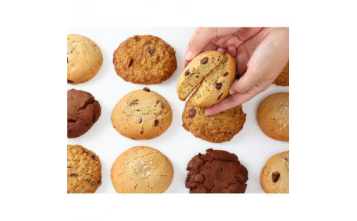 418 ココアクッキー 23区 ジャケット 38 Yoko's Cookies】ソフトなアメリカンクッキー100枚BOX(人気4種入