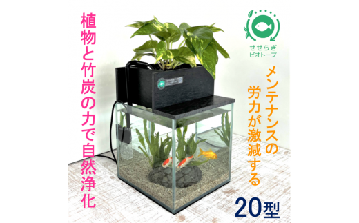 水槽セット ろ過 水替え不要 植物 20cm型基本セット黒色 - 広島県東