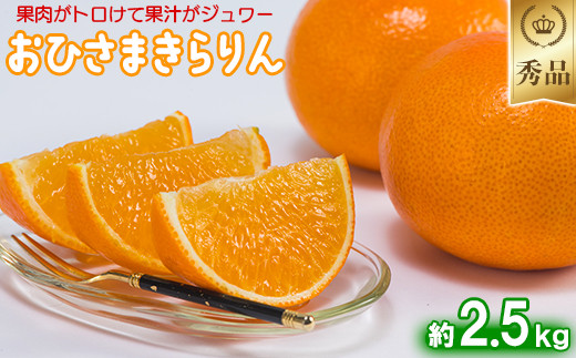 今村農園のおひさまきらりん 約2.5kg【秀品】 甘い オレンジ みかん 清美 2.5kg 1月発送 先行予約 贈答 柑橘類 フルーツ  ＜107-024_5＞