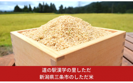 新潟県三条市のしただ米 5kg（コシヒカリ） 新潟県三条市下田産 令和5年産 こしひかり 5kg 白米 【010S178】