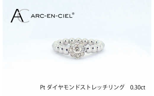 最大5000円OFFクーポン ふるさと納税 泉佐野市 ARC-EN-CIEL プラチナ