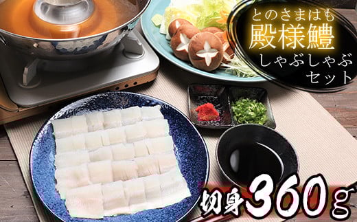 【大分県杵築市】殿様鱧(とのさまはも)しゃぶしゃぶセット 切身360g 3人前〜4人前 鍋 魚 鱧 はも ハモ 鱧しゃぶ 湯引き 鱧鍋 鱧しゃぶセット しゃぶしゃぶ 骨切り 天然鱧 冷凍 <101-012_5>