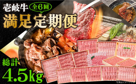 全6回 定期便 】お肉 壱岐牛 切り落とし 500g 《 壱岐市 》 【壱岐市