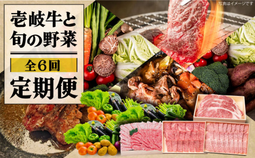 全6回 定期便 】お肉 壱岐牛 切り落とし 500g 《 壱岐市 》 【壱岐市