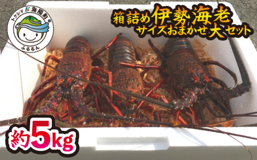 サンプル写真
