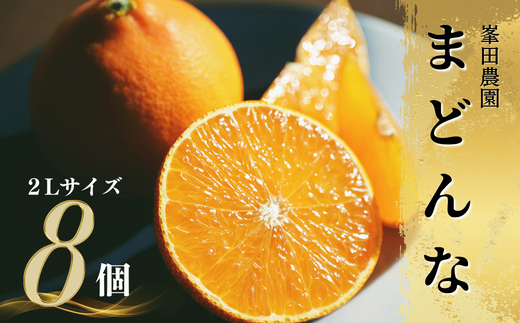 先行予約】【2023年12月発送予定】峯田農園の宝石柑橘「まどんな」2L