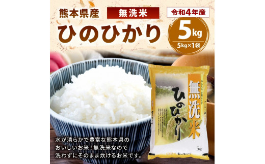 令和4年産】【無洗米】 熊本 ひのひかり 5kg - 熊本県八代市｜ふるさと