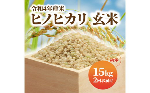 令和4年度産 新米 玄米ヒノヒカリ 15kg