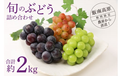 ぶどう（詰め合わせ） 約2kg ３～５房 【 季節限定 お取り寄せ ピオーネ ぴおーね 詰め合わせ ますかっと シャインマスカット しゃいんますかっと  ぶどう 果物 くだもの 種なし 皮ごと 旬 葡萄 フルーツ 予約 旬 大きい 人気 】Ａ-62 - 島根県飯南町｜ふるさとチョイス ...