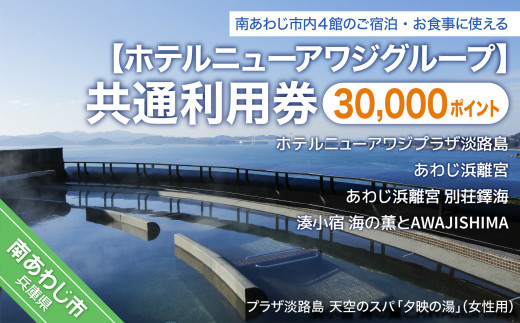 ホテルニューアワジグループ】南あわじ市内施設 共通利用券 - 兵庫県