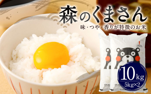【熊本県人吉球磨産】森のくまさん 10kg お米 特A (5kg×2）令和4